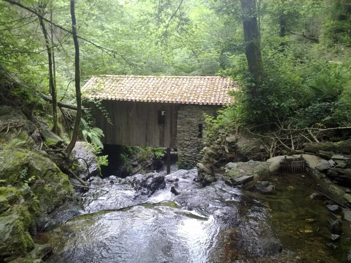 Apartamentos Mendebaldea Suites Pamplona Dış mekan fotoğraf